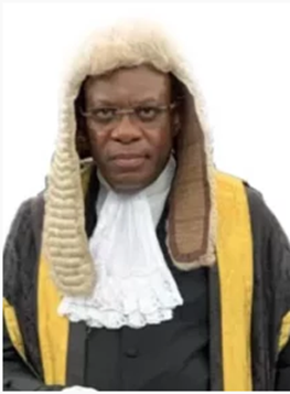 Paul Usoro, SAN